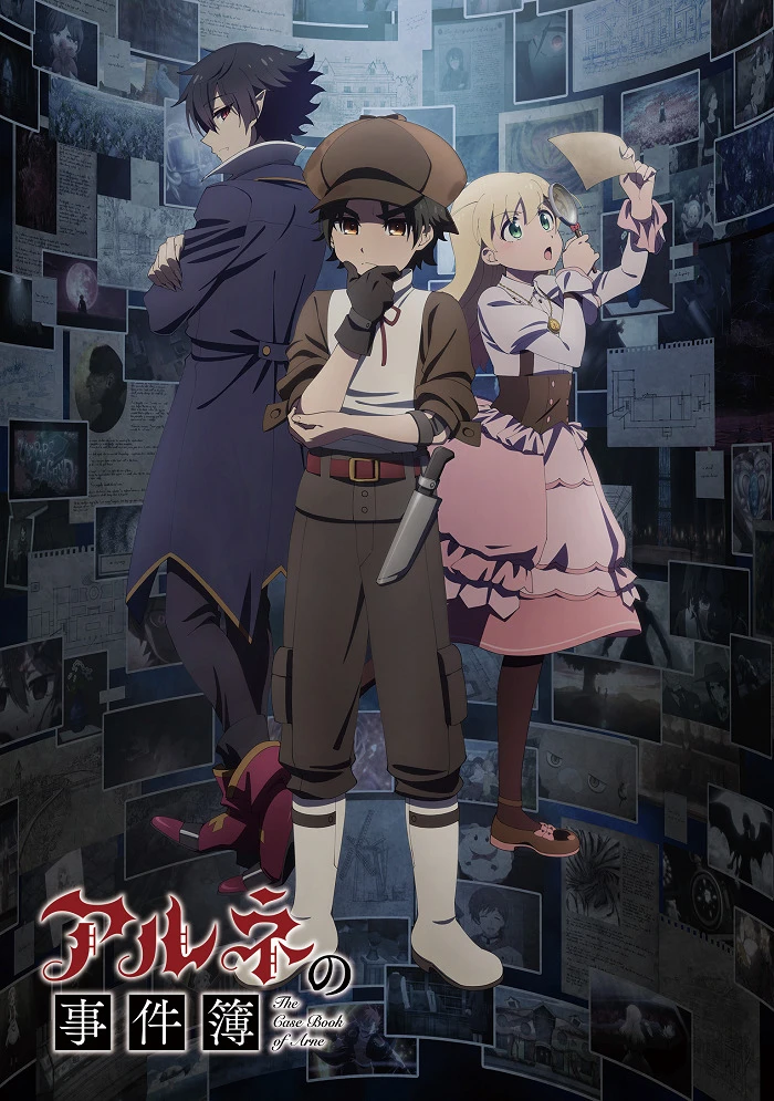 Дело Арне постер