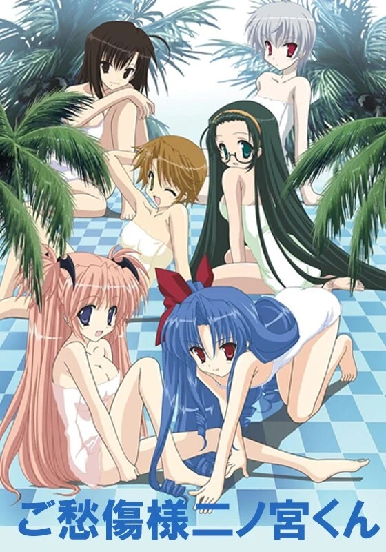 Примите наши соболезнования, Ниномия постер