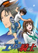 Постер Паладин на поле