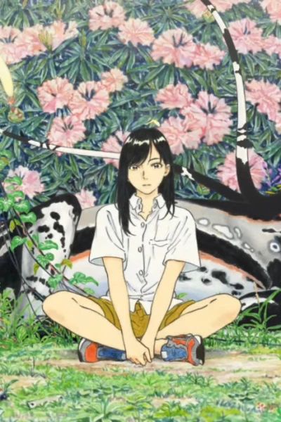 Ложнококон постер